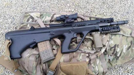 中国陆军主力步枪,历史演变与现状展望,中国陆军主力步枪的历史演变与现状展望