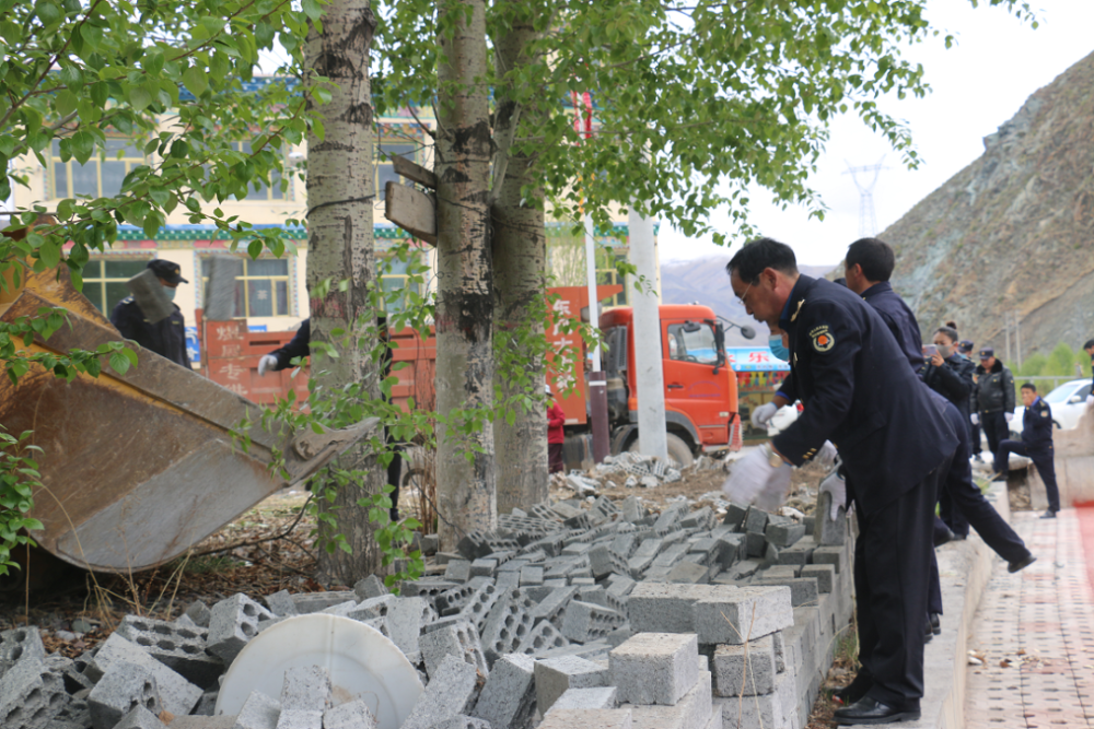 王中王一字十拆与生肖之秘,王中王一字十拆揭秘生肖之秘