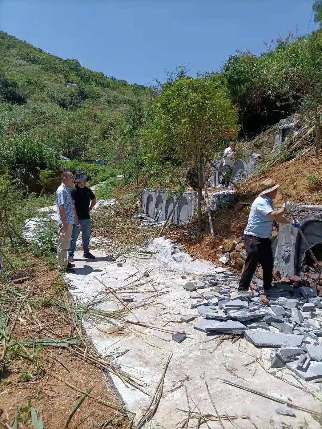 王中王一字十拆与生肖之秘,王中王一字十拆揭秘生肖之秘