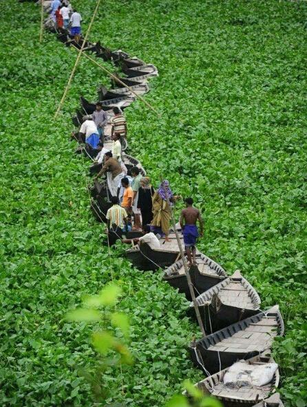 探索未知,关于物体能否浮在水面上的奇妙现象,探索物体浮在水面上的奇妙现象,未知世界的奥秘揭秘