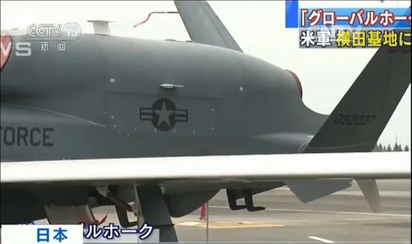全球鹰的数量统计,揭秘全球鹰机队的规模与变迁,全球鹰机队规模揭秘,数量统计与变迁探究