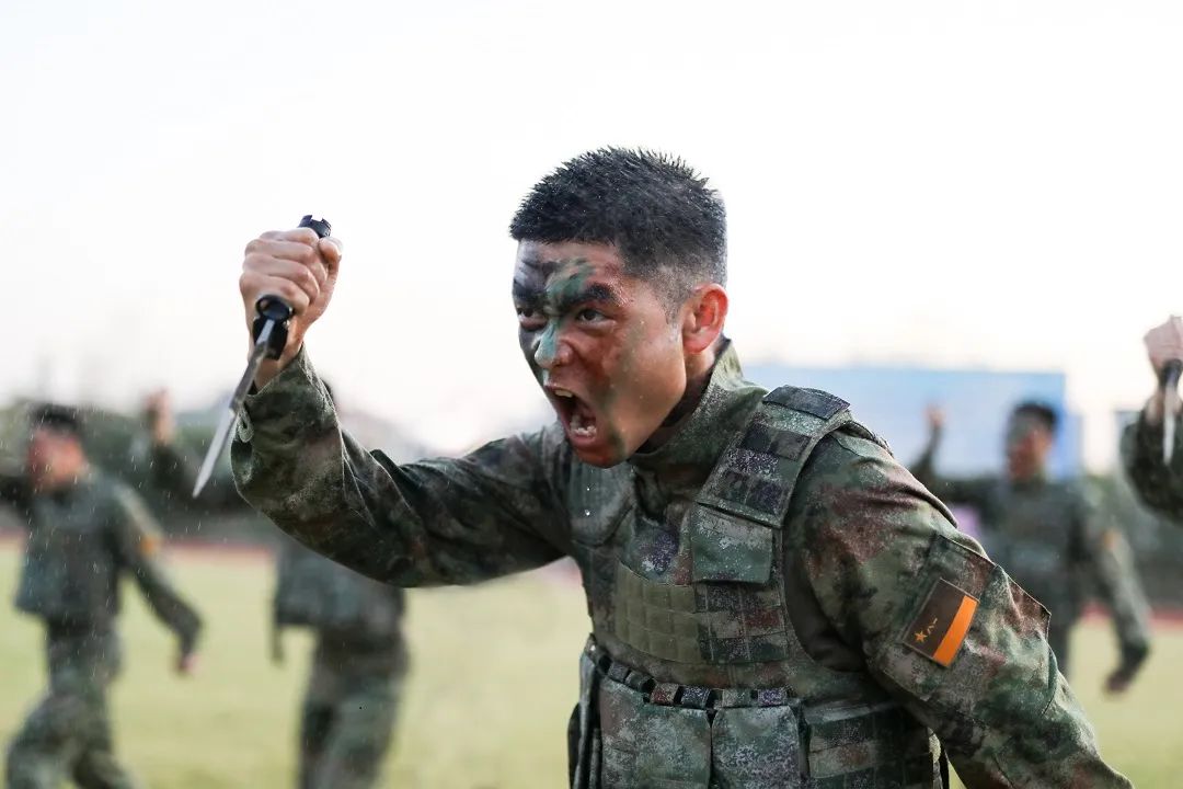 中国特殊部门龙组,神秘而强大的守护者,中国神秘守护者,龙组揭秘