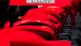 津湖战在线免费观看，历史与现代的交汇点，津湖战，历史与现代交汇点的在线免费观看