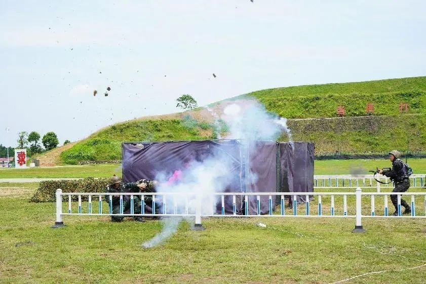 武警部队统一换装,迈向新时代的崭新风貌,武警部队统一换装,展现新时代崭新风貌