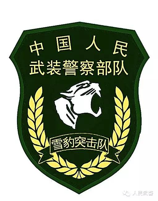 武警八一臂章图片,荣耀的象征与时代的印记,武警八一臂章图片,荣耀时代的印记与象征