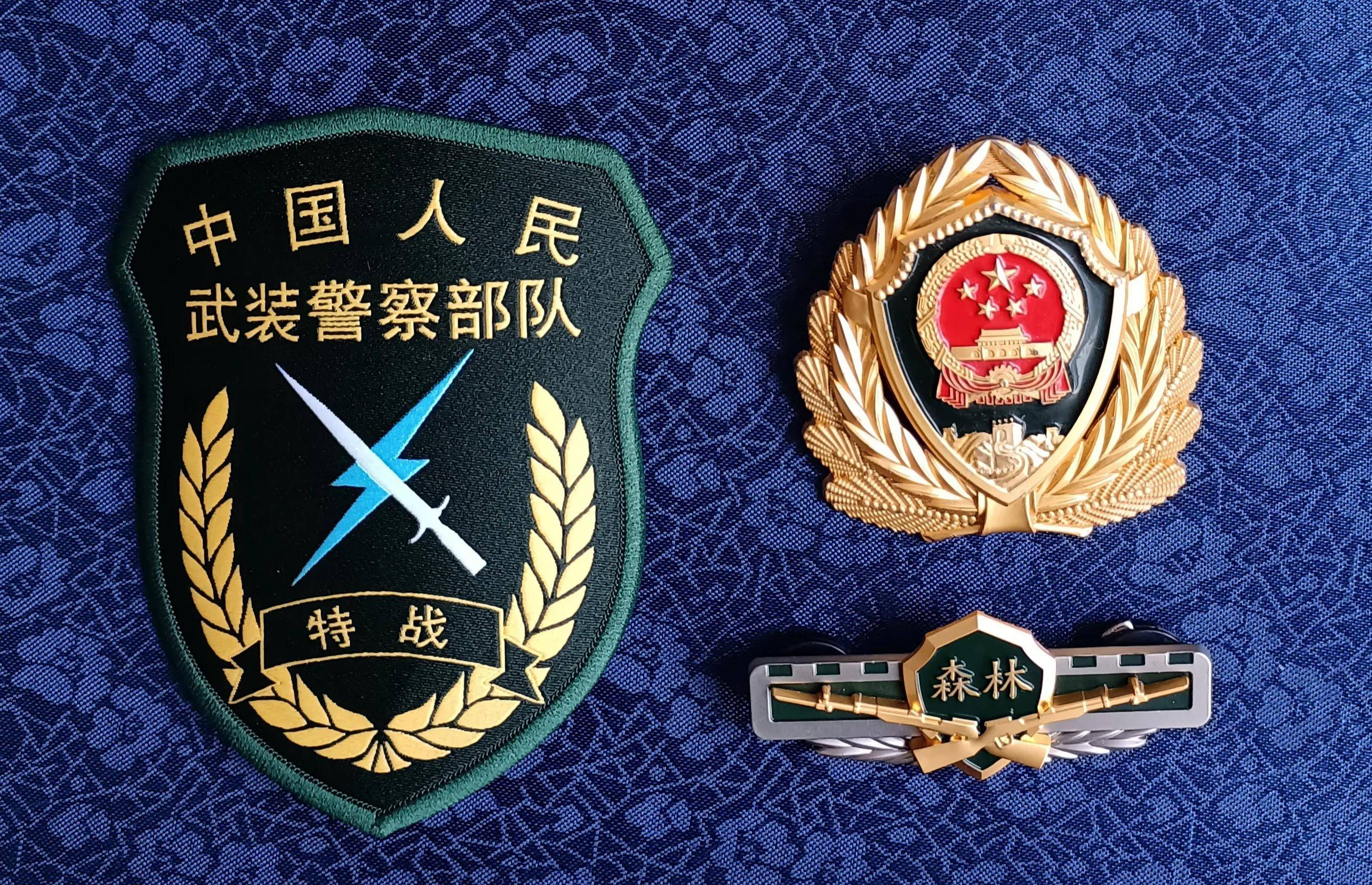 武警八一臂章图片,荣耀的象征与时代的印记,武警八一臂章图片,荣耀时代的印记与象征