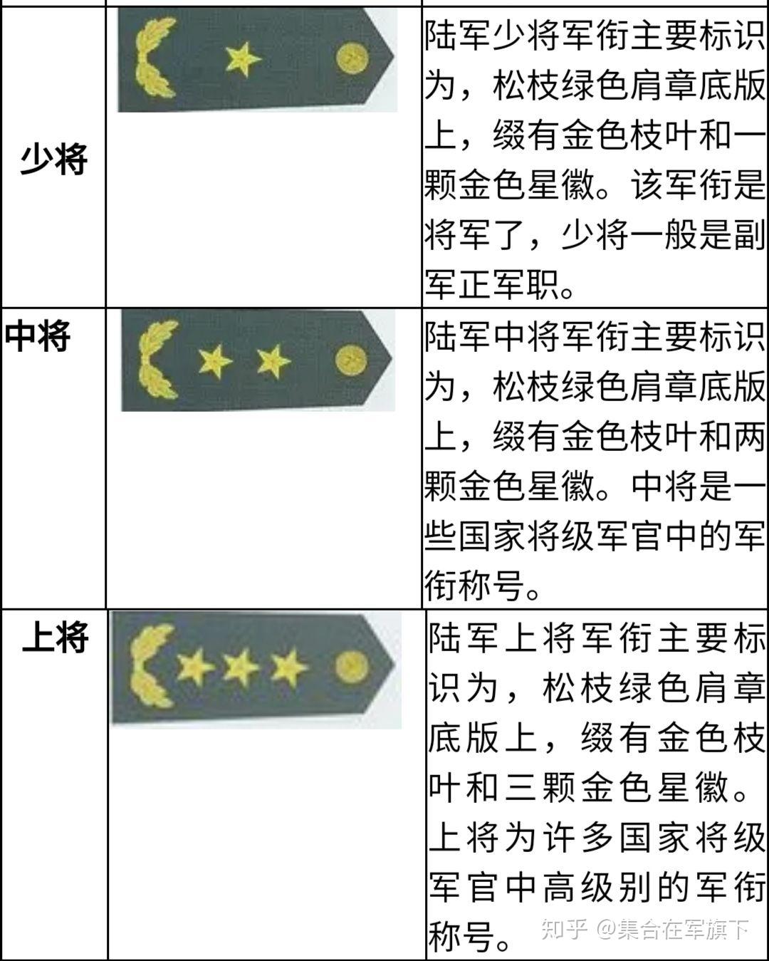 简介/概述