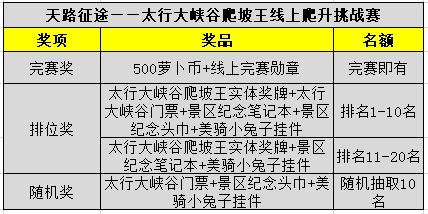 八一勋章的奖励项目，荣誉与贡献的象征，八一勋章，荣誉与贡献的象征，彰显卓越贡献的奖励项目