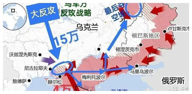 多维度视角分析