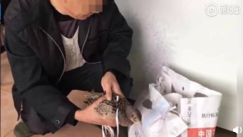 一码一肖抢号技巧,刘伯温的智慧与策略,一码一肖抢号技巧,揭秘刘伯温的智慧与策略