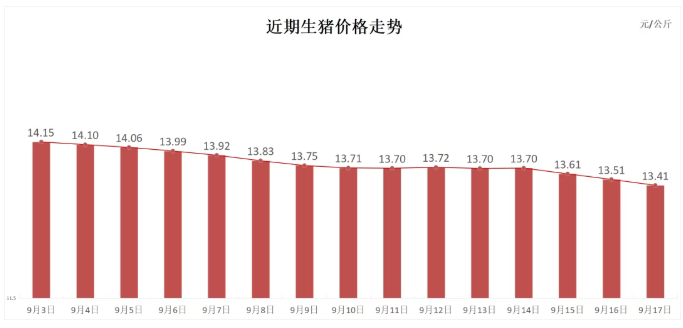 今日生猪价格走势分析,今日生猪价格走势解析