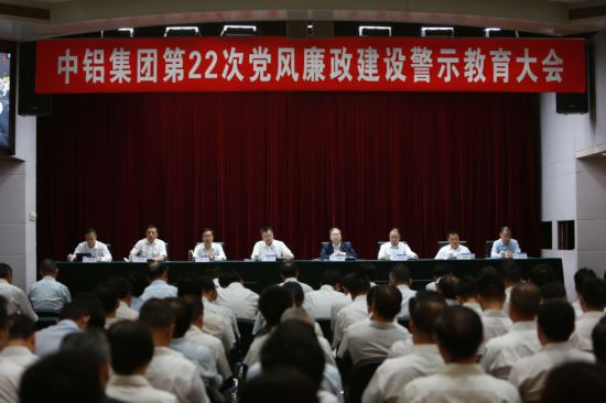 中国铝业最新消息,行业趋势、企业动态及未来发展展望,中国铝业最新动态与行业趋势展望,企业进展与未来发展展望
