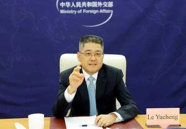关于外交部部长助理与副司长职务级别的探讨,外交部部长助理与副司长职务级别解析与探讨