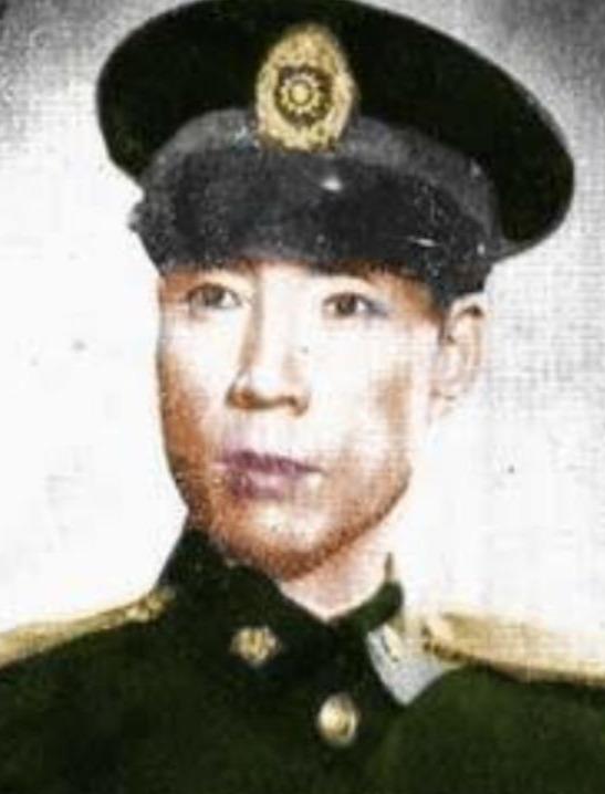 研究概览