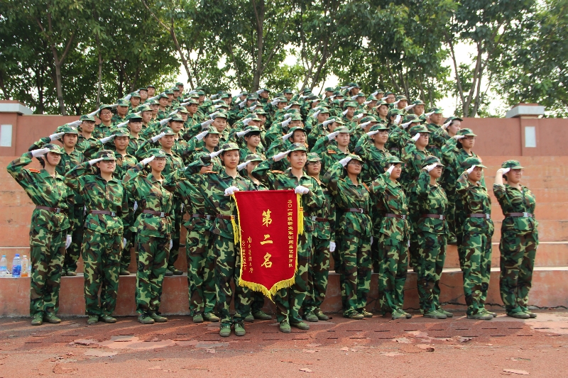 军训阅兵方阵，荣耀与精神的展现，军训阅兵方阵，荣耀与精神的璀璨展现