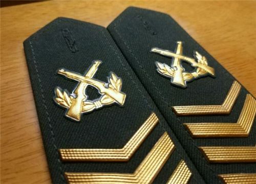 中国最高的军衔等级及标志,中国最高军衔等级与标志解析