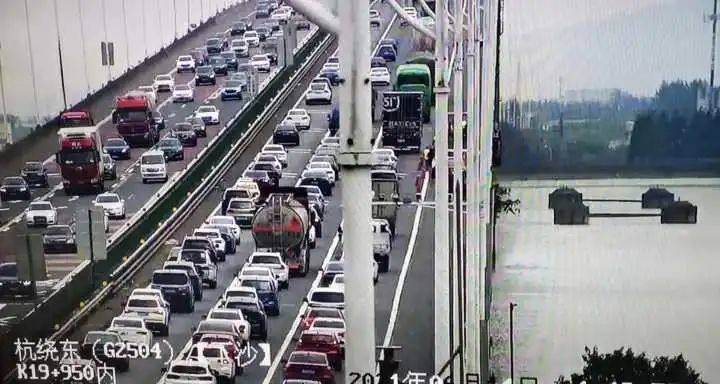 中华媒鸟论坛关闭，回顾与反思，中华媒鸟论坛关闭，回顾与反思的启示