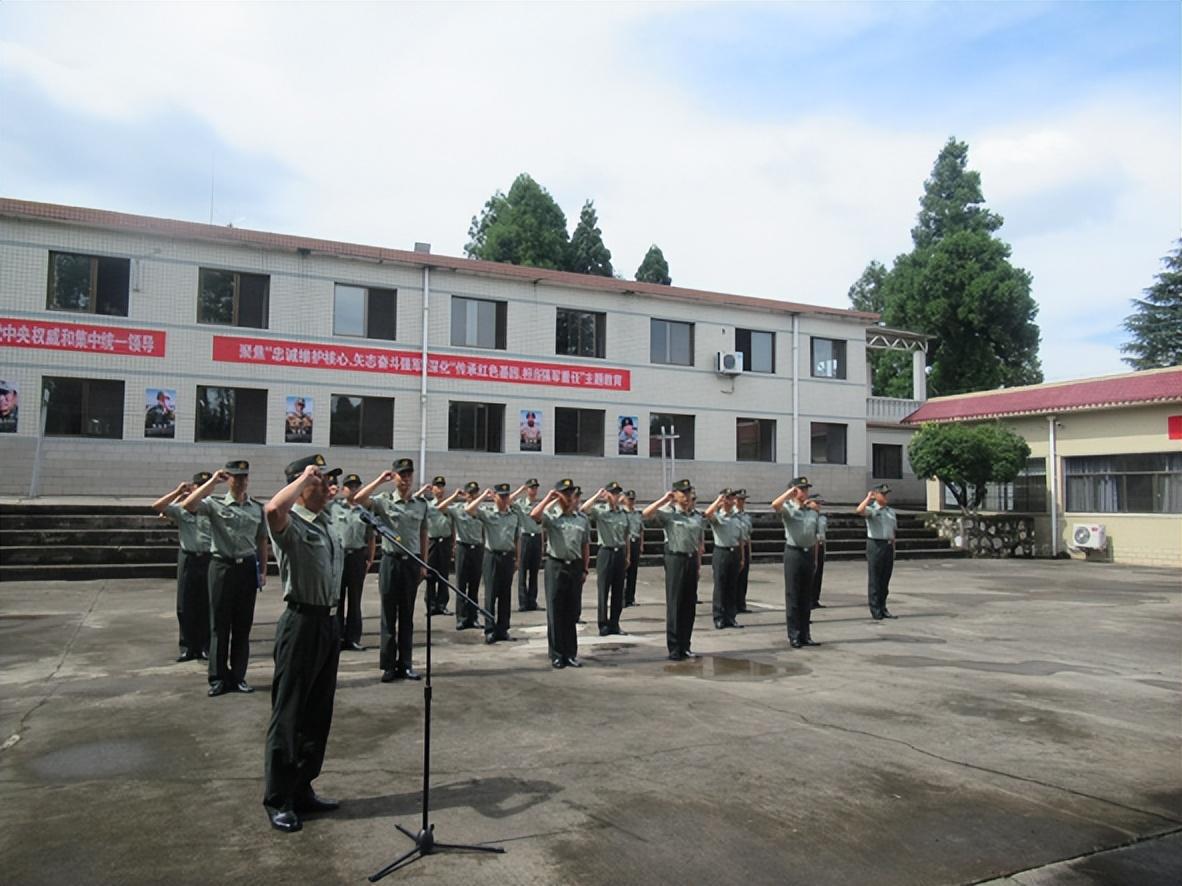 中国战略支援部队的组成及其重要性，中国战略支援部队的组成与重要性解析