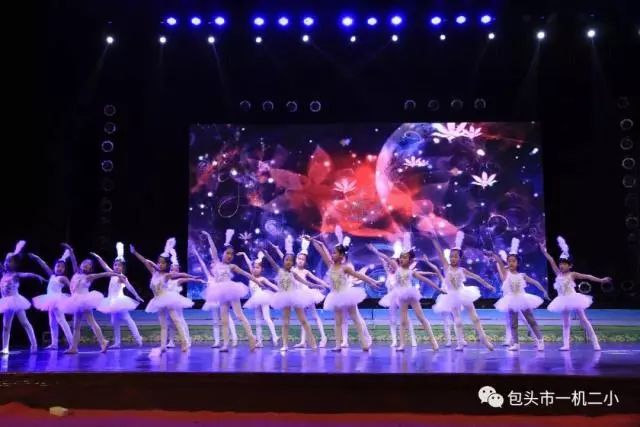 澳门今晚必开一肖与舞蹈的奇妙交融，澳门今晚生肖与舞蹈的奇缘交汇