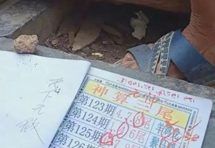 六开彩天天免费资料大全