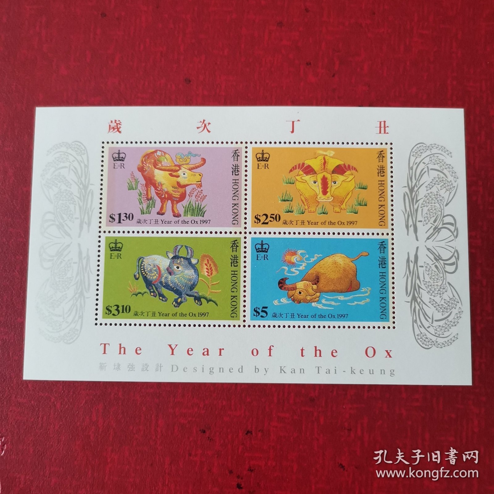 香港花猪王中王平特一肖，传奇故事与文化魅力，香港花猪王中王平特一肖，传奇故事与文化魅力的交织