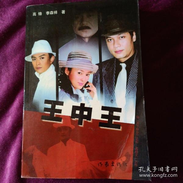 王中王资料一肖中图，深度解析与探讨，王中王资料一肖中图，深度剖析与探讨