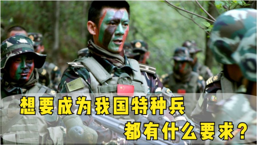 中国特种兵招收条件详解，中国特种兵招收条件全面解析