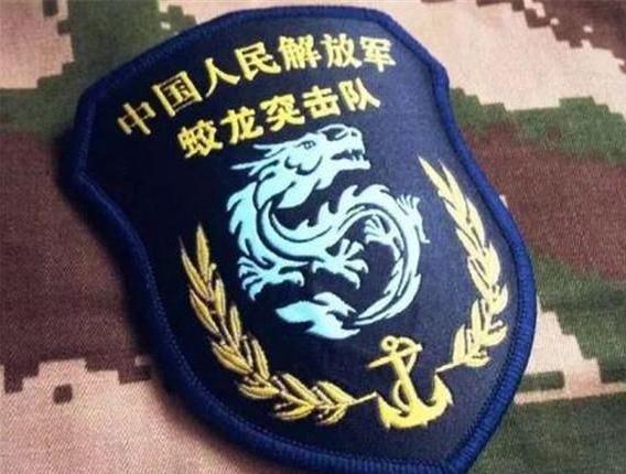 揭秘蛟龙突击队臂章高清背后的故事，揭秘蛟龙突击队臂章高清背后的传奇故事