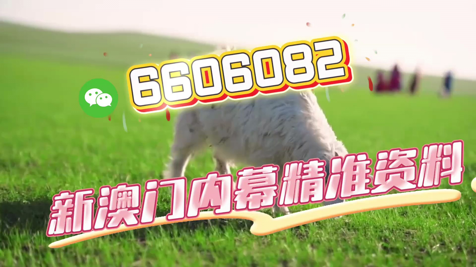 澳门必开一肖一码——探寻背后的神秘与魅力，澳门必开一肖一码，神秘魅力的探寻之旅