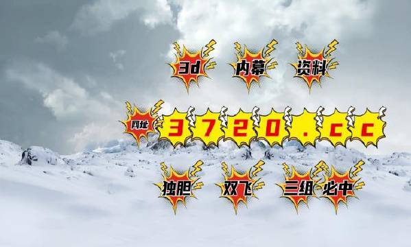 王中王资料公开一肖码，揭秘背后的故事与深层含义，揭秘王中王资料背后的故事与深层含义，一肖码公开解析