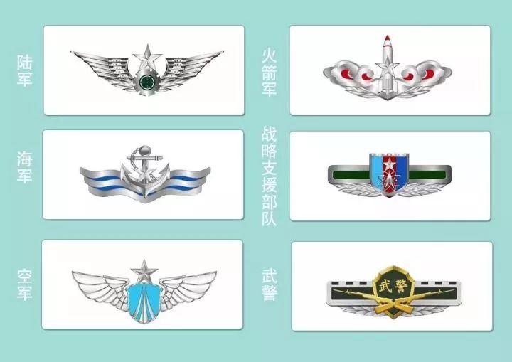 义务兵可以去战略支援部队吗？——探讨义务兵在战略支援部队中的可能性，义务兵在战略支援部队中的可能性探讨