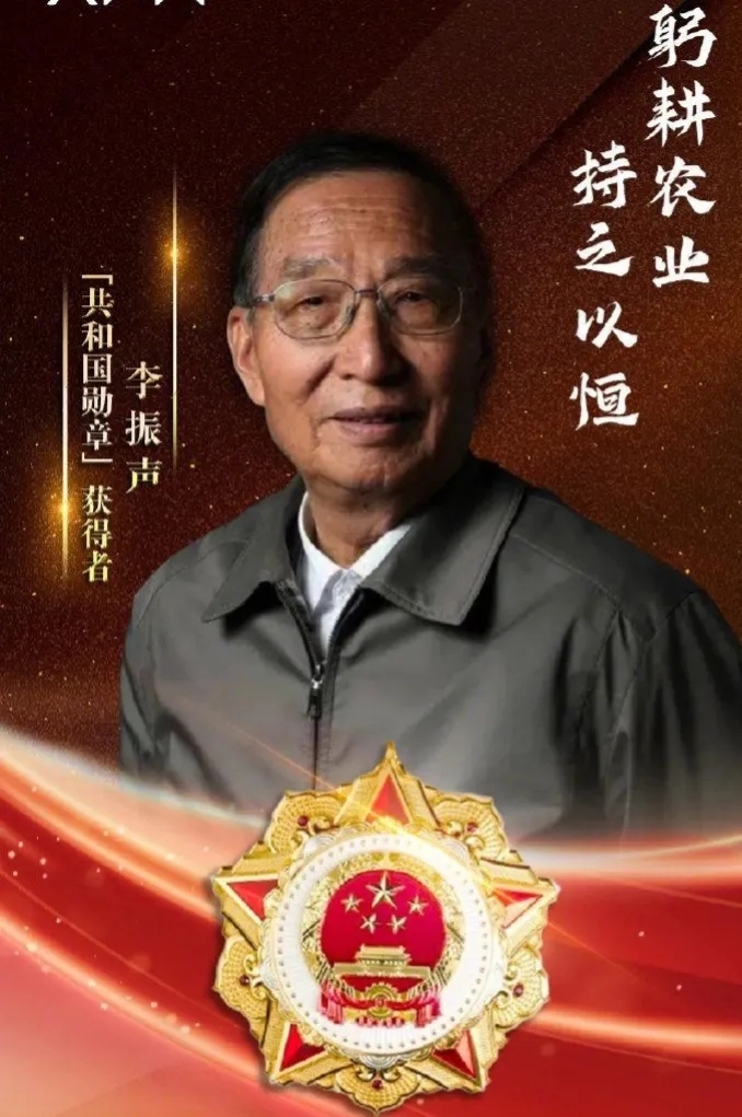 共和国勋章,四位杰出人物的荣耀时刻,共和国勋章,四位杰出人物的荣耀瞬间