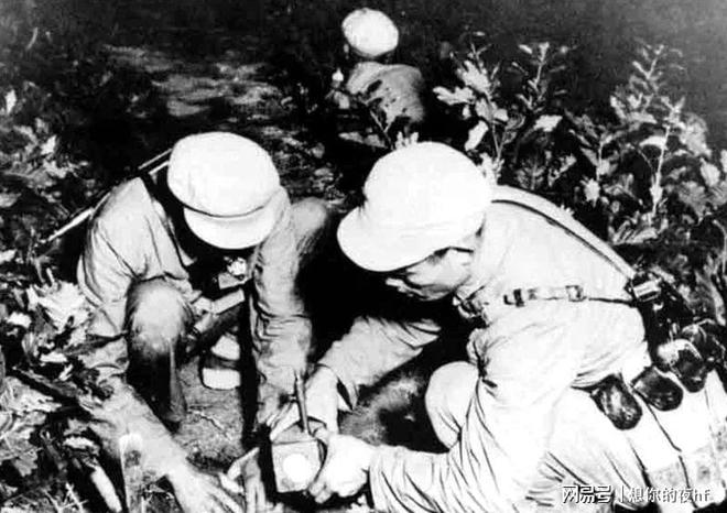 1953年志愿军空军，英勇初航的辉煌篇章，1953年志愿军空军初航辉煌篇章，英勇展翅的天空传奇
