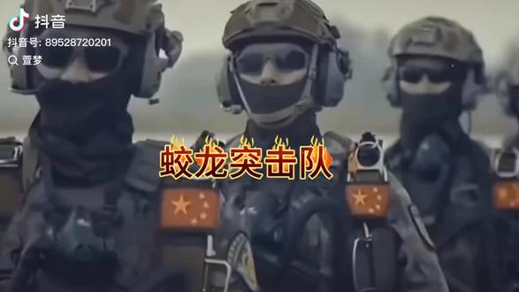 揭秘蛟龙突击队的成员数量，揭秘蛟龙突击队成员数量