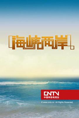 CCTV4海峡两岸关系深度解析（2016年观察），CCTV4海峡两岸关系深度解析，回顾与展望（2016年观察）