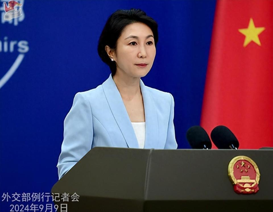 中央新闻发言人毛宁的简历与成就，中央新闻发言人毛宁的生涯轨迹与卓越成就