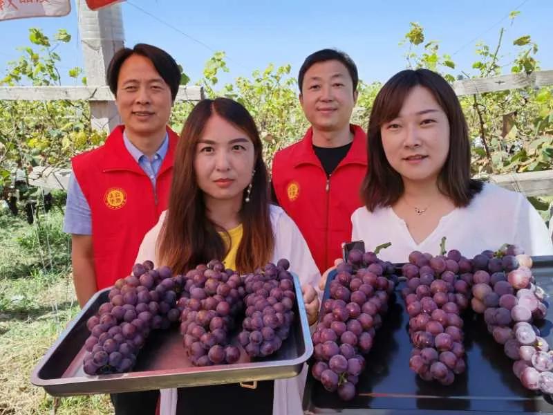 富平电视台今日新闻直播，聚焦时事，传递最新资讯，富平电视台今日新闻直播，时事聚焦，最新资讯传递