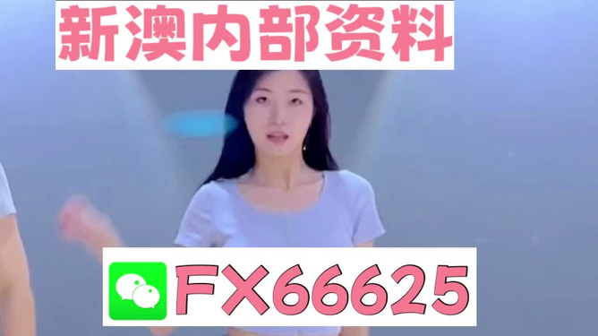 新澳门管家婆免费资料查询，探索与解析，澳门管家婆免费资料查询解析指南