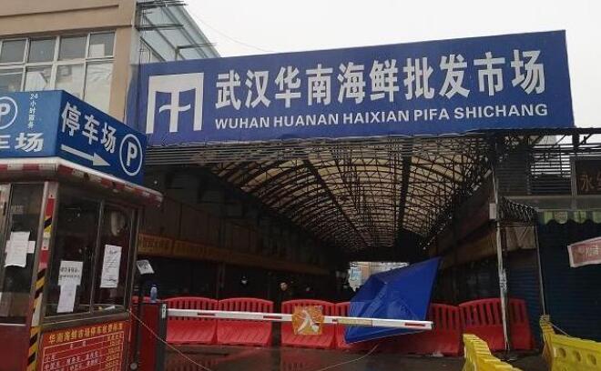 华南海鲜市场老板现状深度探究，华南海鲜市场老板现状深度剖析