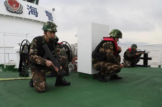 武警海警学院院徽，象征与荣耀，武警海警学院院徽，象征海洋荣耀与使命担当