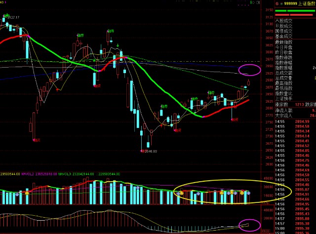 新澳门六开奖结果记录宗合走势图,深度解析与预测,澳门六开奖结果记录走势图深度解析与预测报告