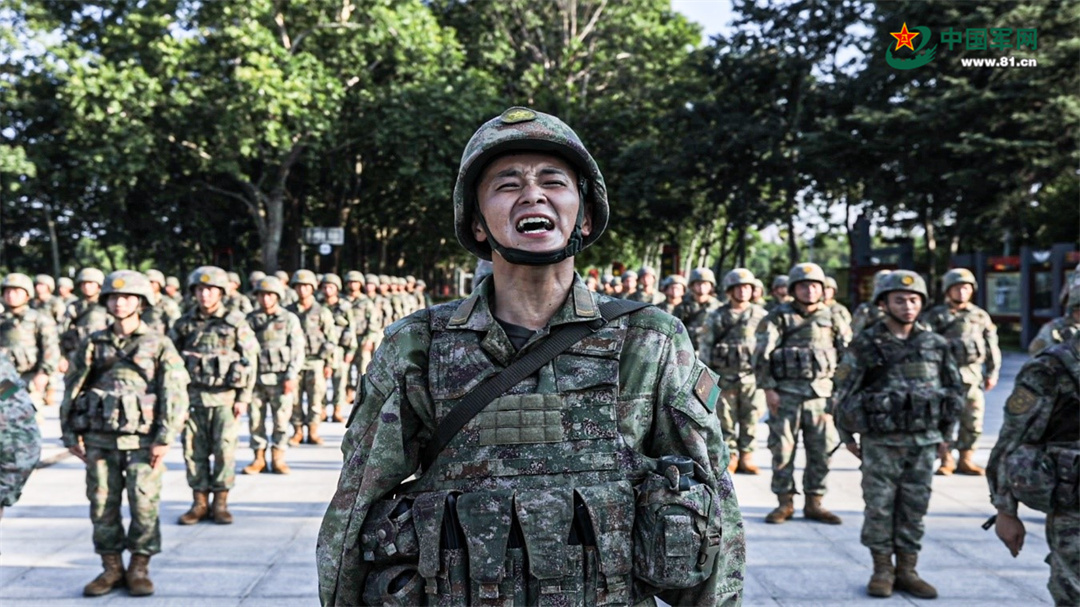 杨根思连队臂章，荣耀与传承的象征，杨根思连队臂章，荣耀传承的徽章