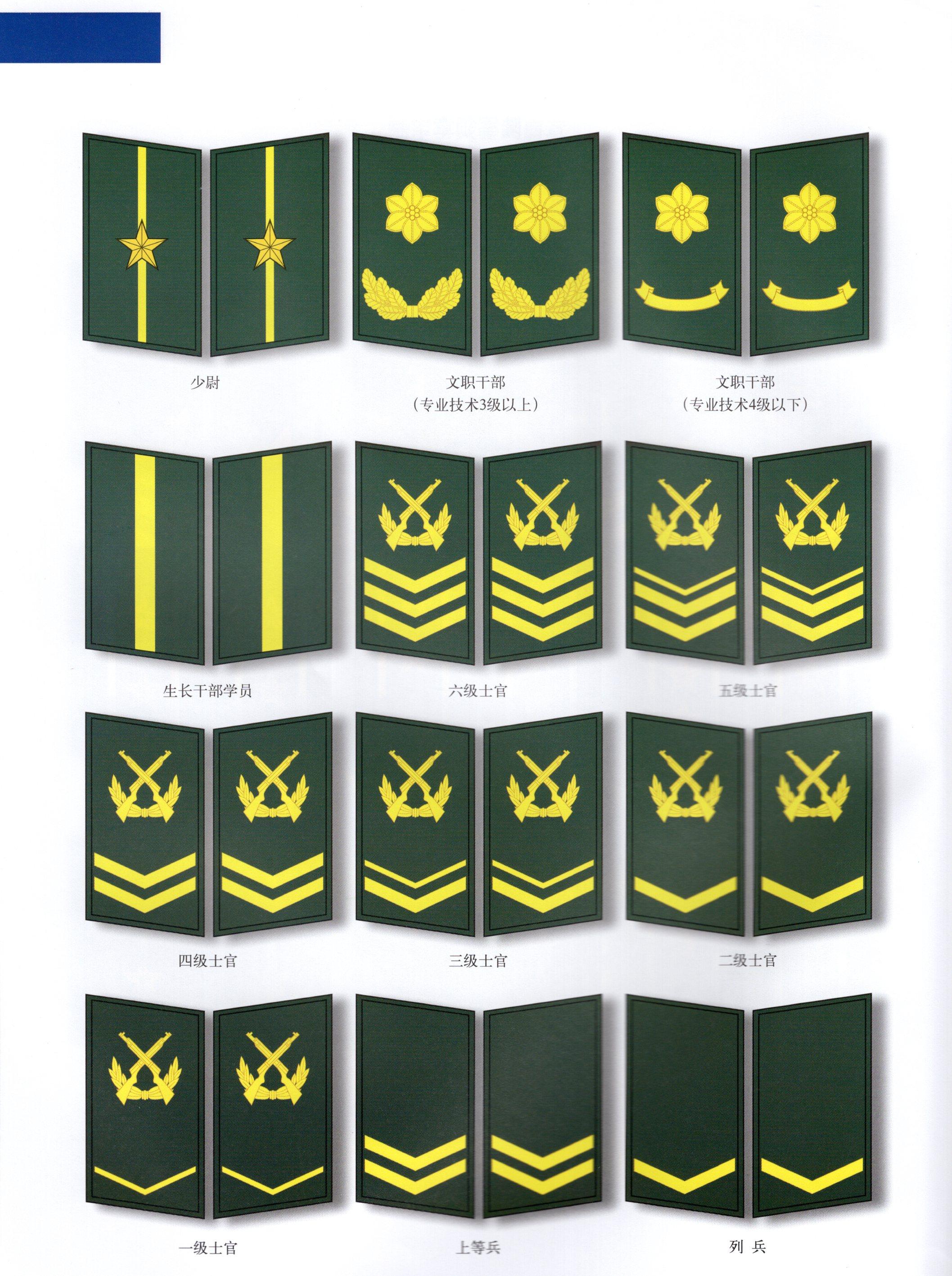 深度解析/全面解读