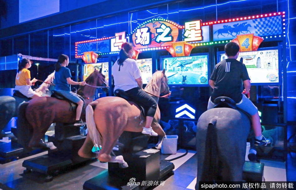 王中王六肖选一,探寻背后的故事与奥秘,王中王六肖选一,背后的故事与奥秘探寻