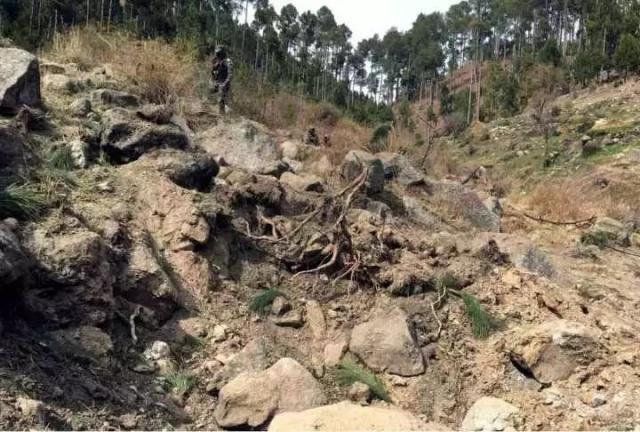 中国空军敬礼图片,展现力量与荣耀的象征,中国空军敬礼图片,力量与荣耀的彰显