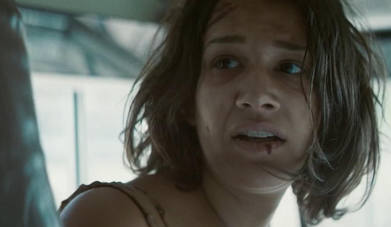 美国经典农场电影,历史、文化与生活的交织,美国经典农场电影,历史、文化与生活的绚烂交织