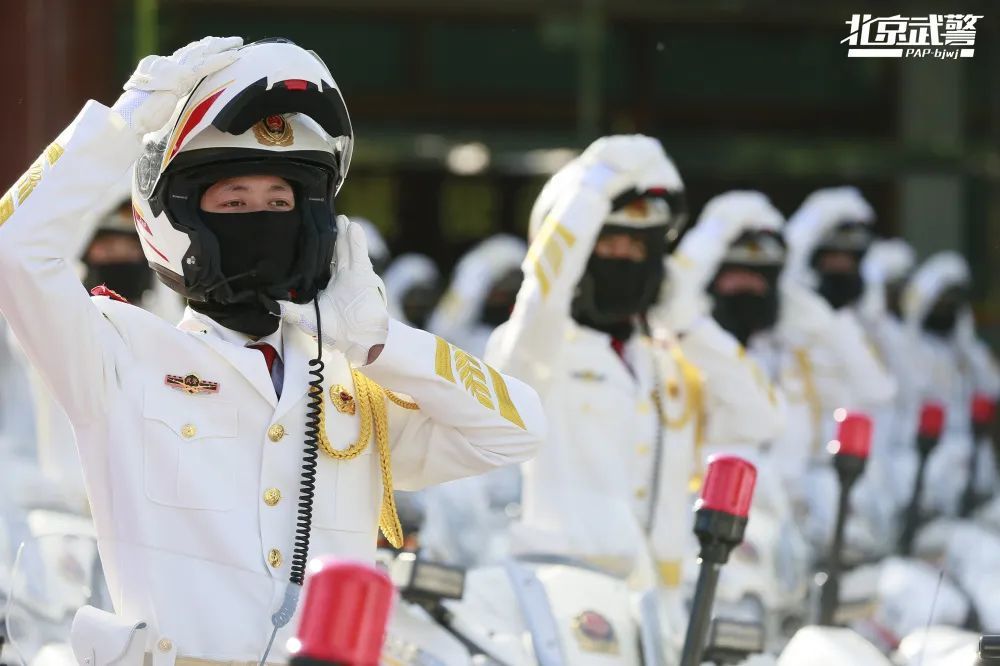 国宾护卫队，警察还是武警？解析其职责与身份，国宾护卫队的职责与身份解析，警察还是武警？