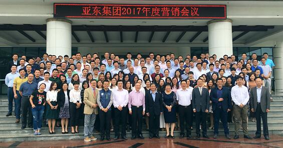 亚东公司,从创业之路到卓越成就,亚东公司,创业之路铸就卓越成就