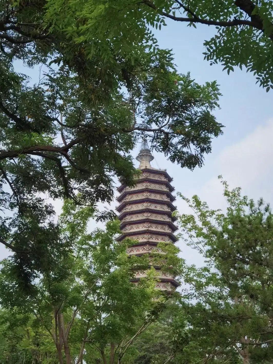 日本心神战机,探究其代数定位与战略意义,日本心神战机,代数定位与战略价值探究