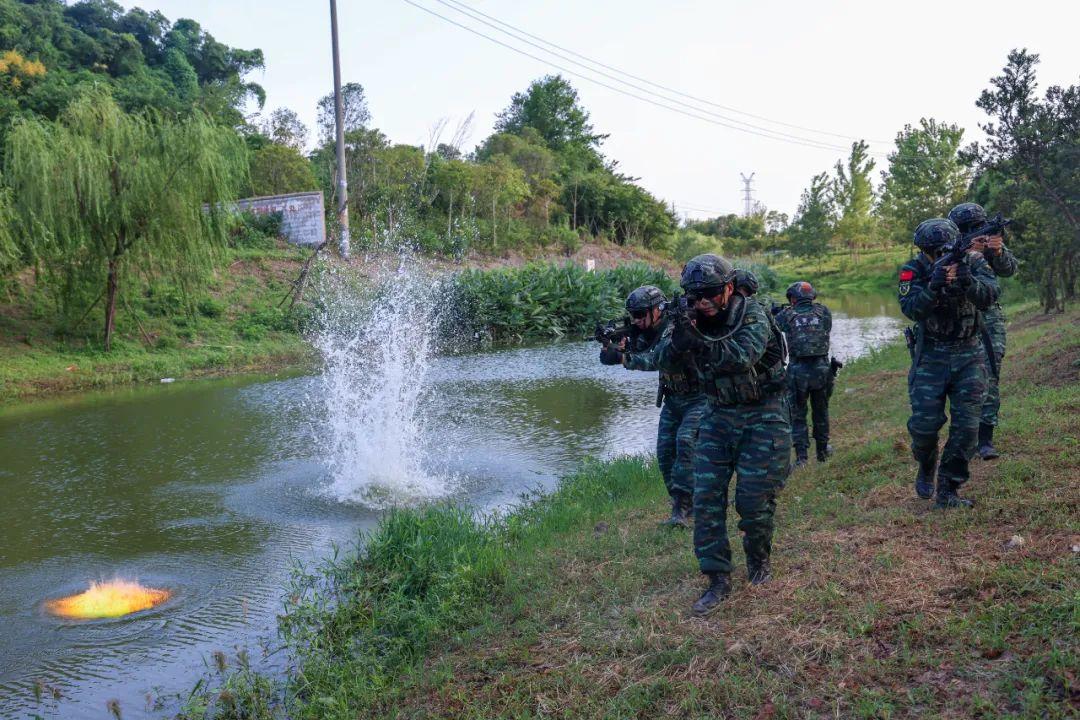 武警宣传图片,展现力量与荣耀的画卷,武警宣传图片,力量与荣耀的壮丽画卷